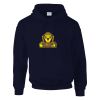 DryBlend® adult hooded sweatshirt Thumbnail