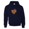 DryBlend® adult hooded sweatshirt Thumbnail