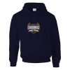 DryBlend® adult hooded sweatshirt Thumbnail