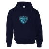 DryBlend® adult hooded sweatshirt Thumbnail