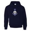 DryBlend® adult hooded sweatshirt Thumbnail