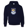 DryBlend® adult hooded sweatshirt Thumbnail