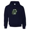 DryBlend® adult hooded sweatshirt Thumbnail