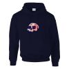 DryBlend® adult hooded sweatshirt Thumbnail