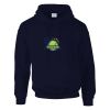 DryBlend® adult hooded sweatshirt Thumbnail
