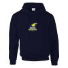 DryBlend® adult hooded sweatshirt Thumbnail
