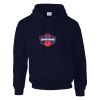DryBlend® adult hooded sweatshirt Thumbnail