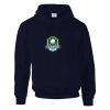 DryBlend® adult hooded sweatshirt Thumbnail