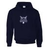 DryBlend® adult hooded sweatshirt Thumbnail