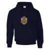 DryBlend® adult hooded sweatshirt Thumbnail