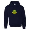 DryBlend® adult hooded sweatshirt Thumbnail