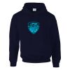 DryBlend® adult hooded sweatshirt Thumbnail