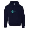 DryBlend® adult hooded sweatshirt Thumbnail