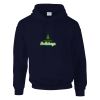 DryBlend® adult hooded sweatshirt Thumbnail